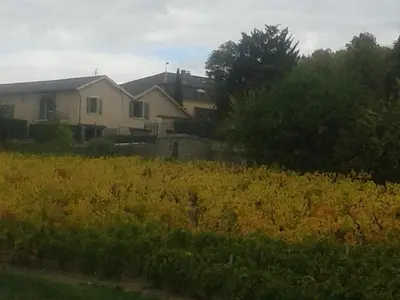 Jardin de l'établissement La Maison des Vignes - Convivialité détente et art de vivre au cœur du Beaujolais