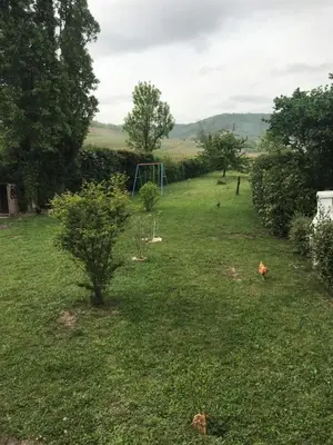 Paysage naturel près de la maison d'hôtes
