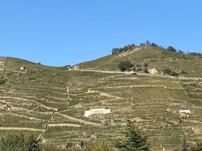 Paysage naturel près de la maison d'hôtes