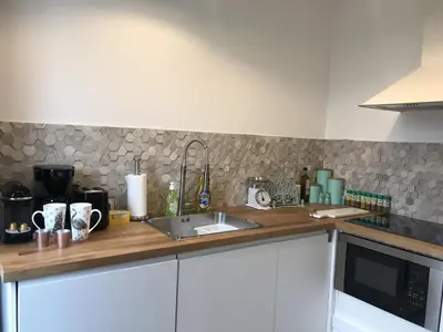 Cuisine ou kitchenette dans l'établissement Le Joyau de Jouhaux appartement G - Lyon Garibaldi
