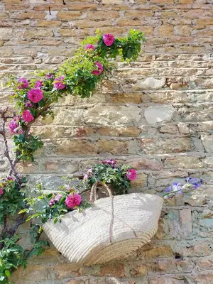 Jardin de l'établissement Château de la Venerie