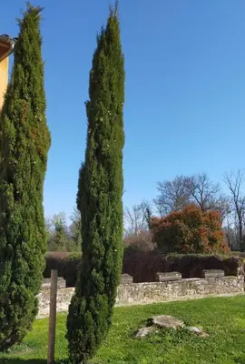 Jardin de l'établissement Château de la Venerie