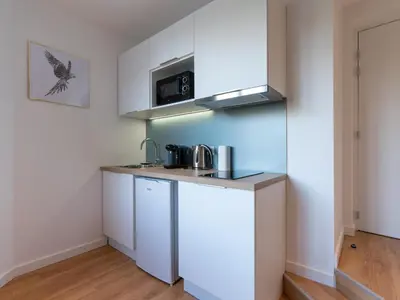 Cuisine ou kitchenette dans l'établissement Appartements Le Berliet - Montplaisir