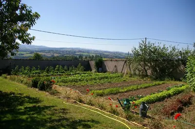 Jardin de l'établissement Chez Jacotte et Elia
