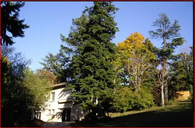 Plan de l'établissement Parc de Biodiversité Le Castel - Maison d'hôtes & Table Bio