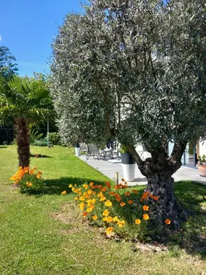 Jardin de l'établissement L'Olivier