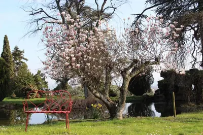 Jardin de l'établissement Château Bellevue-Domaines Loron