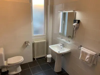 Salle de bains dans l'établissement Hôtel Brasserie Le Lion d'Or
