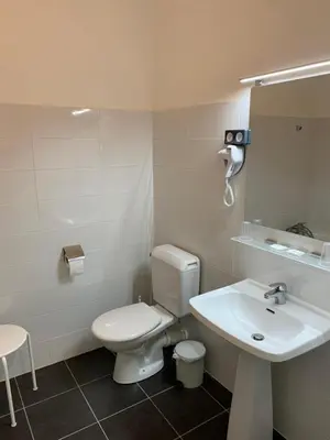 Salle de bains dans l'établissement Hôtel Brasserie Le Lion d'Or