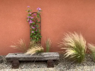Jardin de l'établissement Communay Gablys Chambres