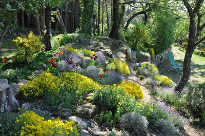 Jardin de l'établissement Chambre d'hôtes de Thorée