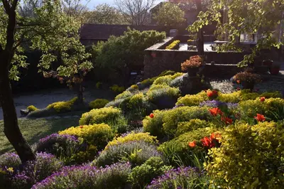 Jardin de l'établissement Chambre d'hôtes de Thorée