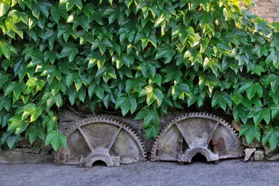 Jardin de l'établissement L'Aube du Moulin
