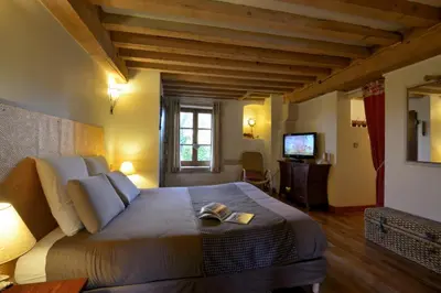 Télévision ou salle de divertissement dans l'établissement L'Aube du Moulin