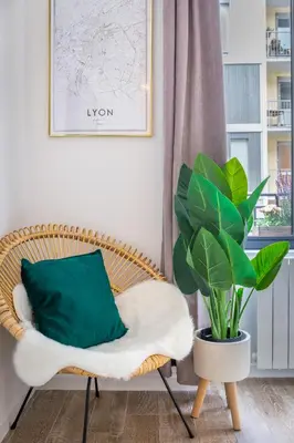 Coin salon dans l'établissement Les Cocons Emeraude et Fleuri