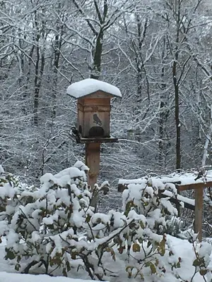 L'établissement Le Relais des Malettes Chambres d'hôtes B&B en hiver