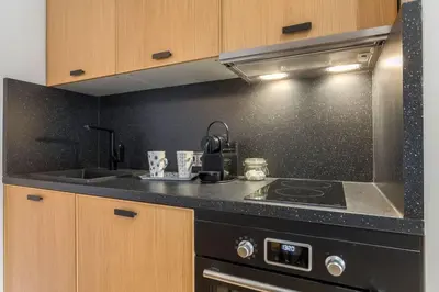Cuisine ou kitchenette dans l'établissement Gasparin - Furnished apartment - Downtown Lyon