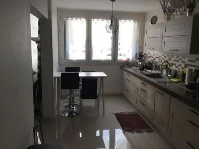 Cuisine ou kitchenette dans l'établissement Appartement Laurent Bonnevay