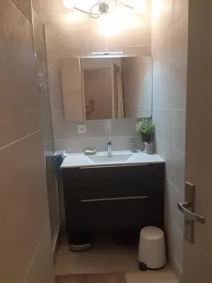 Salle de bains dans l'établissement Appartement Laurent Bonnevay