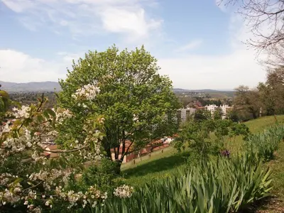 Paysage naturel près de l'hôtel