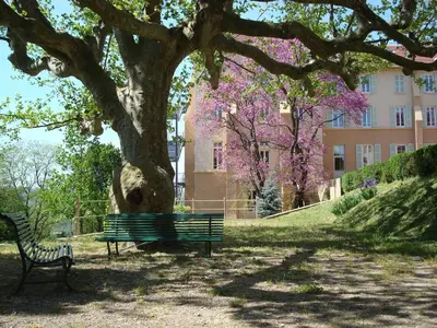 Jardin de l'établissement Domaine Lyon Saint Joseph