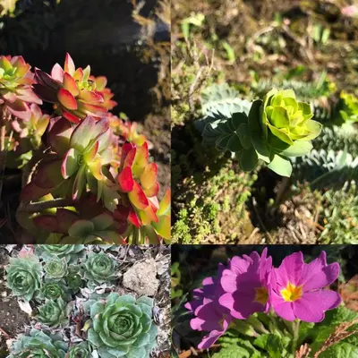 Jardin de l'établissement GITE PASQUIER