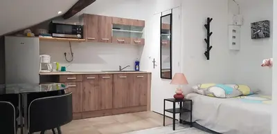 Cuisine ou kitchenette dans l'établissement Appart hotel sathonay rillieux Lyon