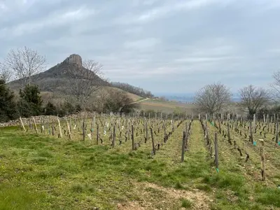 Paysage naturel près de l'hôtel