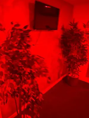 Télévision ou salle de divertissement dans l'établissement love love 23