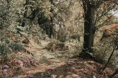 Paysage naturel près de la maison de vacances