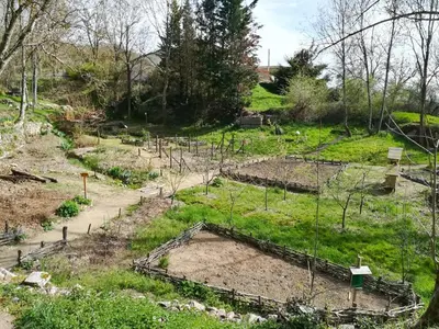 Jardin de l'établissement Gîte indépendant 8p, cheminée, animaux acceptés, nature paisible - FR-1-496-10