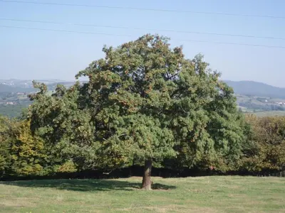Paysage naturel près de la maison de vacances