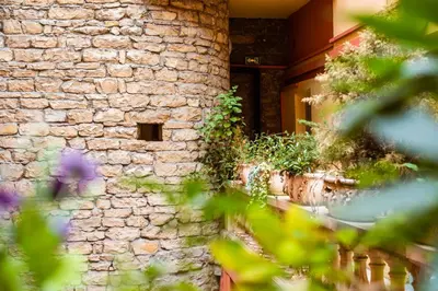 Jardin de l'établissement Au Patio Morand