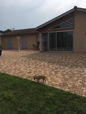 Animal ou animaux domestique(s) séjournant avec des clients dans l'établissement Chambres d'hôtes Chez Coco