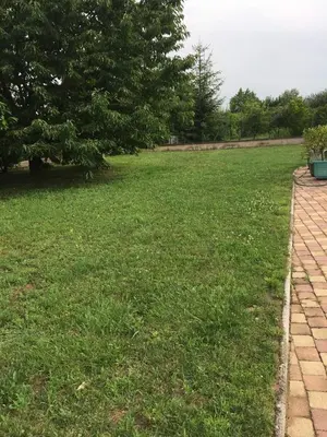 Jardin de l'établissement Chambres d'hôtes Chez Coco