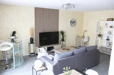 Télévision ou salle de divertissement dans l'établissement Cosy Appart - Proche Eurexpo - Balcon - Parking - Spacieux T2
