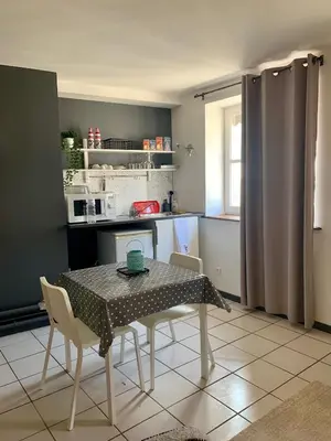 Cuisine ou kitchenette dans l'établissement Studio au cœur de Lyon