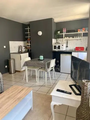 Cuisine ou kitchenette dans l'établissement Studio au cœur de Lyon