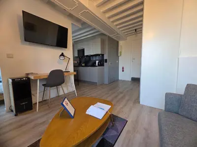 Télévision ou salle de divertissement dans l'établissement Le Central Rhône 2 - vue grandiose -