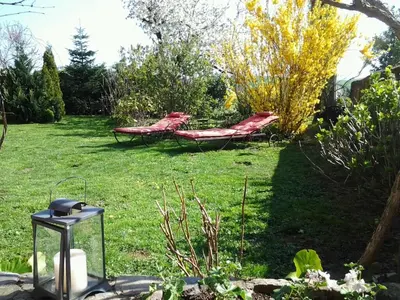 Jardin de l'établissement Le Clos du Merle