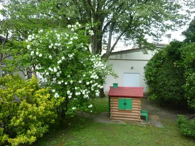Jardin de l'établissement Gîte du Tilleul