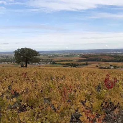 Paysage naturel près de le B&B/chambre d'hôtes
