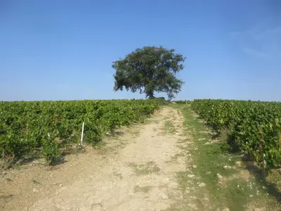 Paysage naturel près de le B&B/chambre d'hôtes