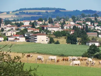 Paysage naturel près de la maison de vacances