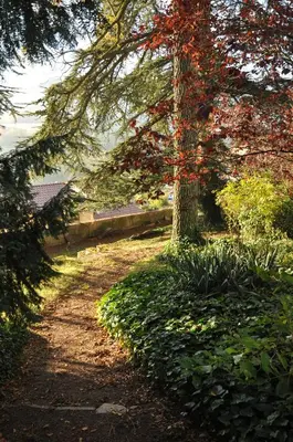 Jardin de l'établissement Les Jardins de l'Hacienda