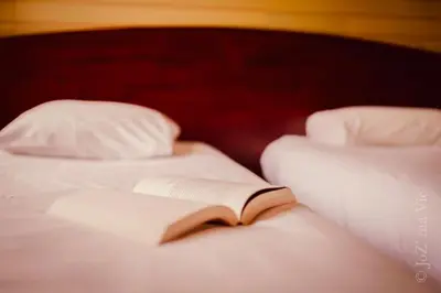 Un ou plusieurs lits dans un hébergement de l'établissement Grand Hotel De La Poste - Lyon Sud - Vienne