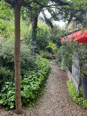 Jardin de l'établissement Matin de Saône
