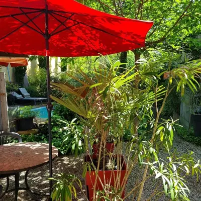Jardin de l'établissement Matin de Saône