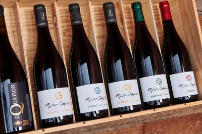 Boissons dans l'établissement Domaine Gilles Copéret- Artisan-Vigneron- chambres d'hôtes Les Glycines -
