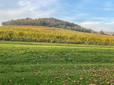 Paysage naturel près de la maison de vacances